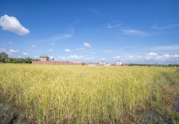  1935 Sqm Residential Land For Sale - Svay Thom, Siem Reap thumbnail