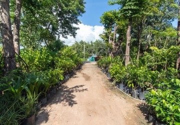 2433 Sqm Commercial Land For Rent - Sra Ngae, Siem Reap thumbnail