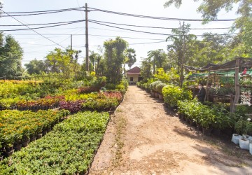 2433 Sqm Commercial Land For Sale - Sra Ngae, Siem Reap thumbnail