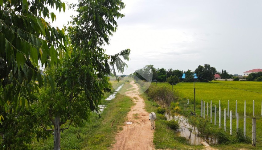 4750 Sqm Land For Sale - Chreav, Siem Reap