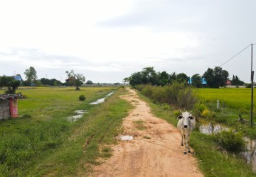 4750 Sqm Land For Sale - Chreav, Siem Reap thumbnail