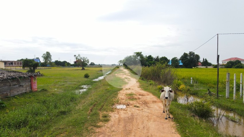 4750 Sqm Land For Sale - Chreav, Siem Reap