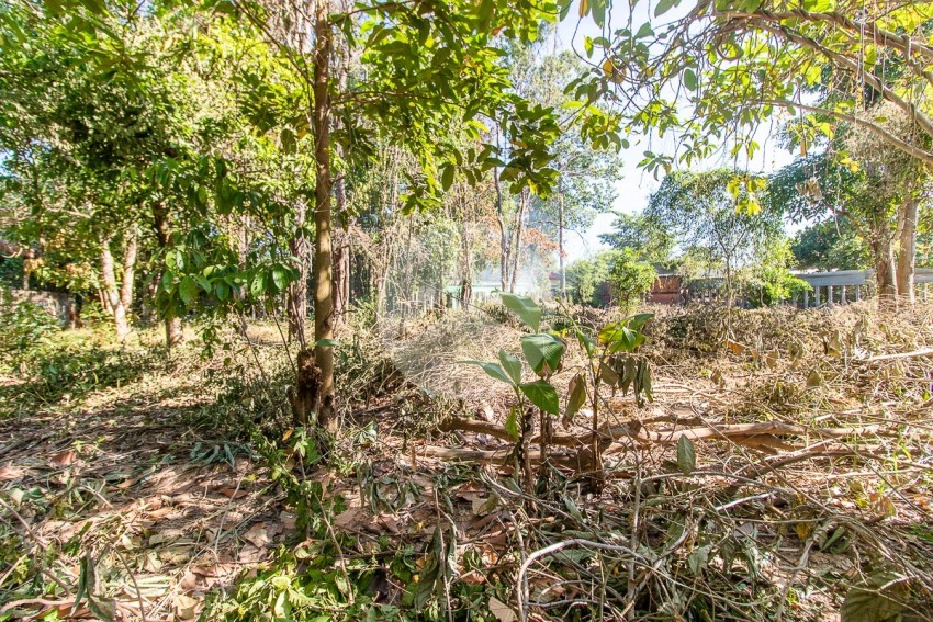 500 Sqm Residential Land For Sale - Svay Dangkum, Siem Reap