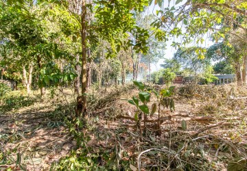 500 Sqm Residential Land For Sale - Svay Dangkum, Siem Reap thumbnail