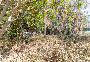 500 Sqm Residential Land For Sale - Svay Dangkum, Siem Reap thumbnail