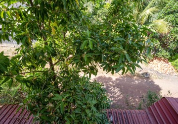 3 Bedroom House For Sale - Chreav, Siem Reap thumbnail