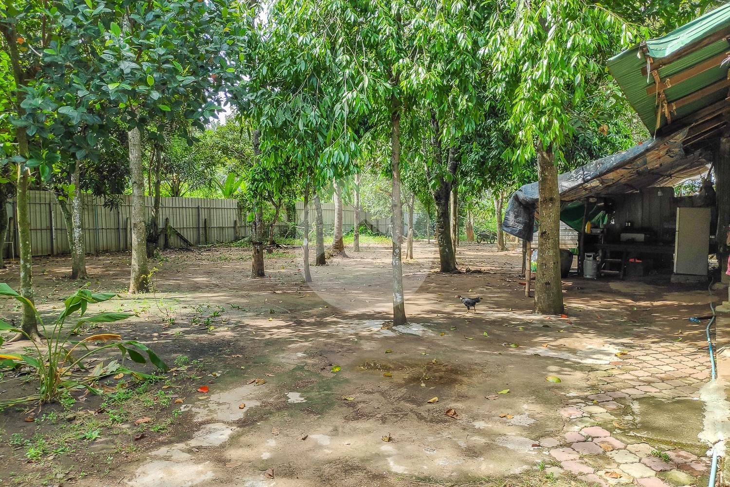 3,490 Sqm Land For Sale - Preaek Aeng, Phnom Penh - Image 11