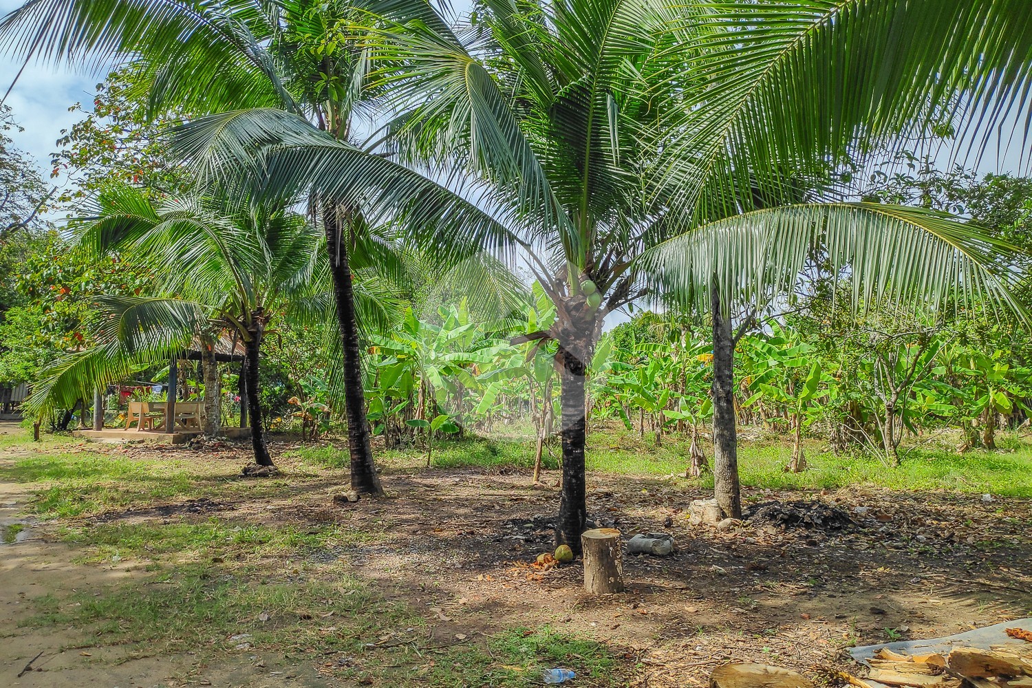 3,490 Sqm Land For Sale - Preaek Aeng, Phnom Penh - Image 10