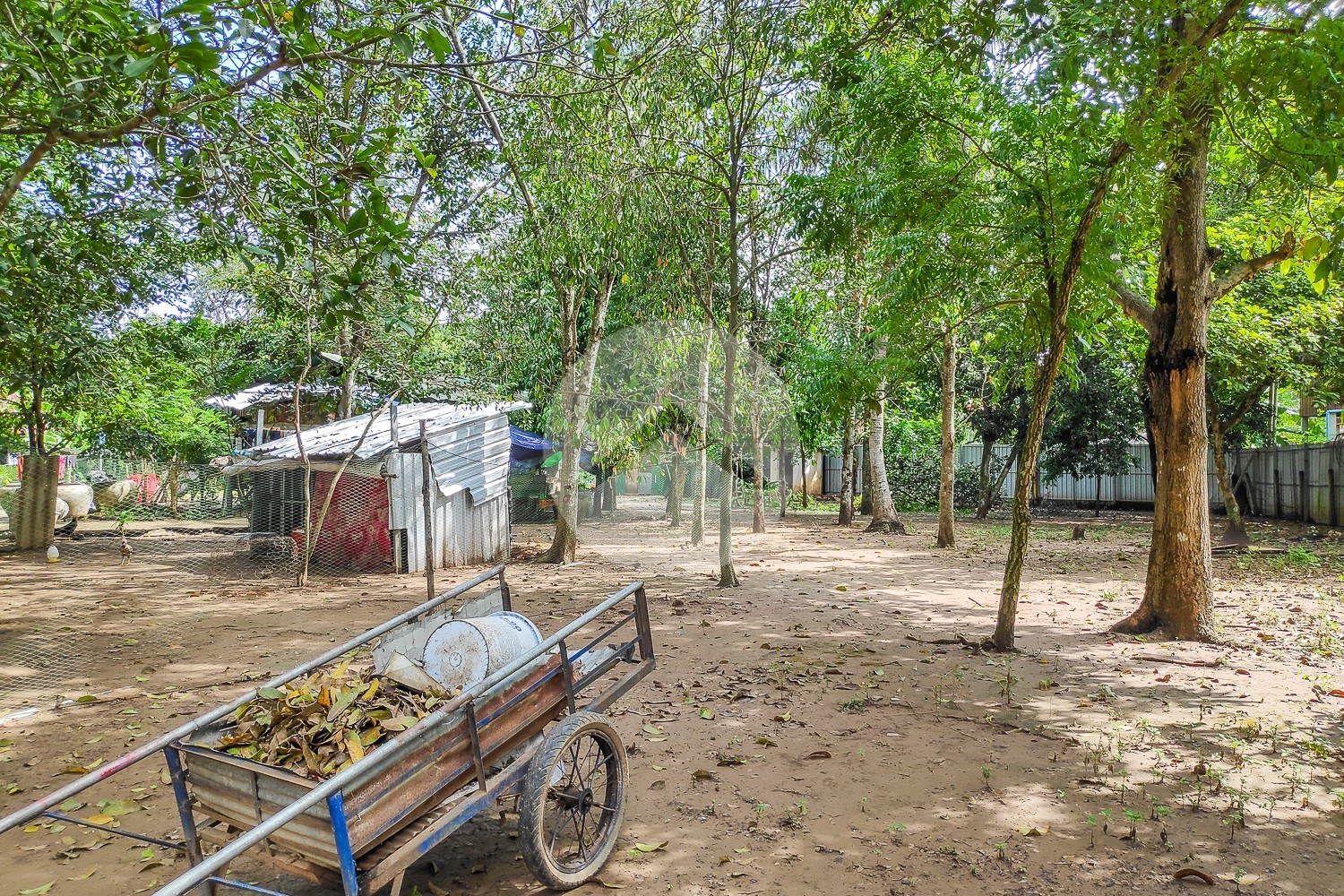 3,490 Sqm Land For Sale - Preaek Aeng, Phnom Penh - Image 12