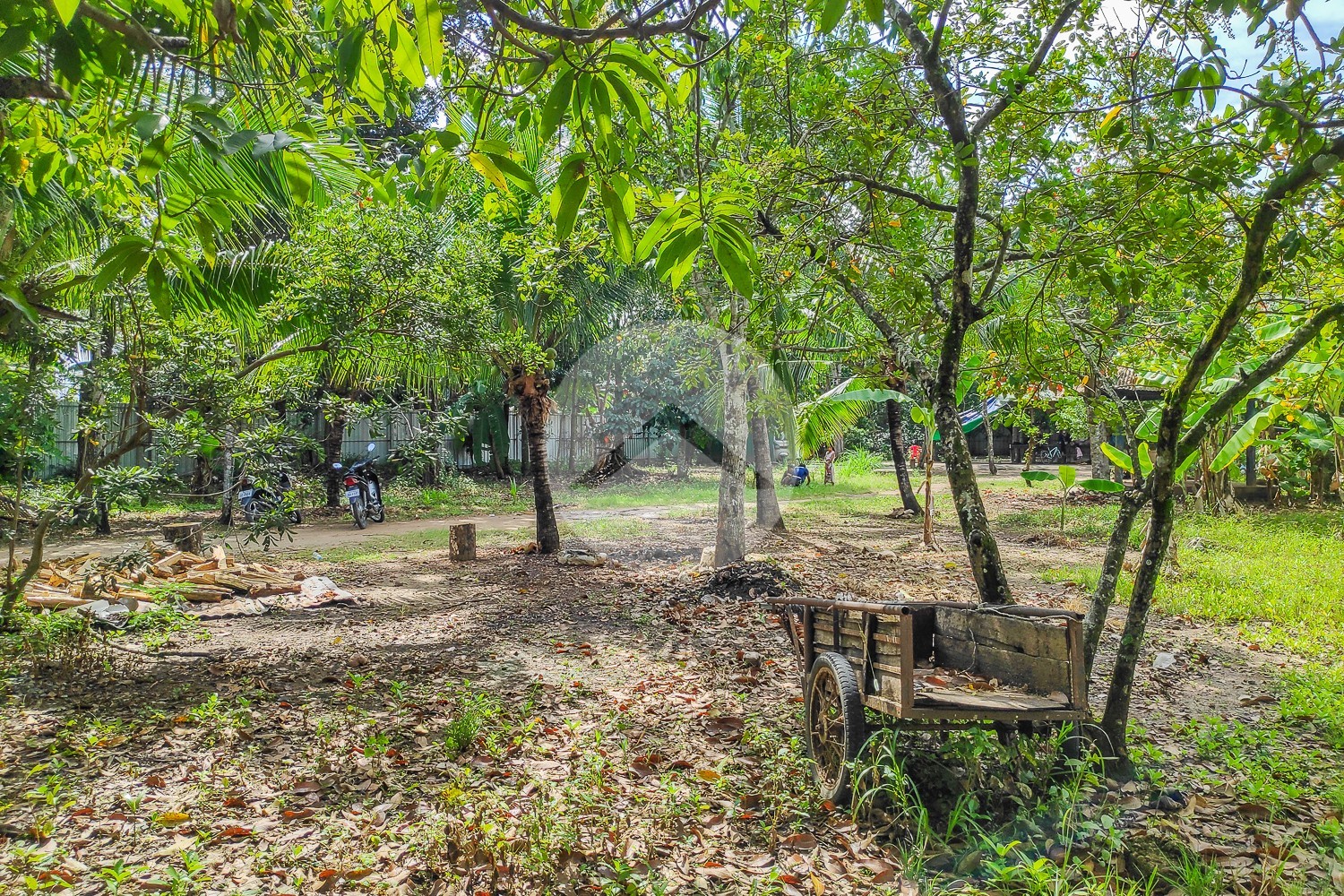 3,490 Sqm Land For Sale - Preaek Aeng, Phnom Penh - Image 14