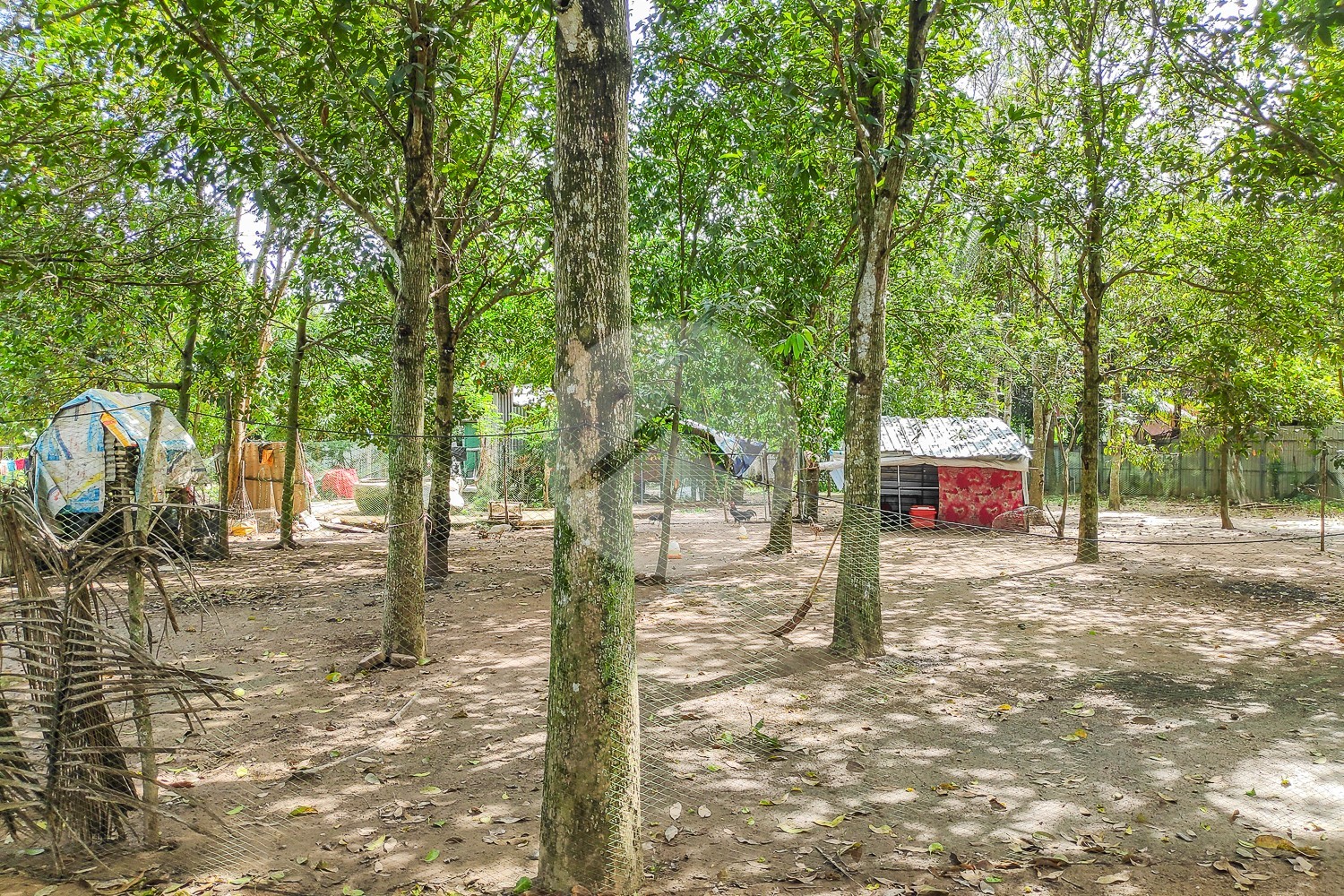 3,490 Sqm Land For Sale - Preaek Aeng, Phnom Penh - Image 13