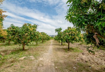 41 Ha Land For Sale - Traeng Trayueng, Kampong Speu thumbnail