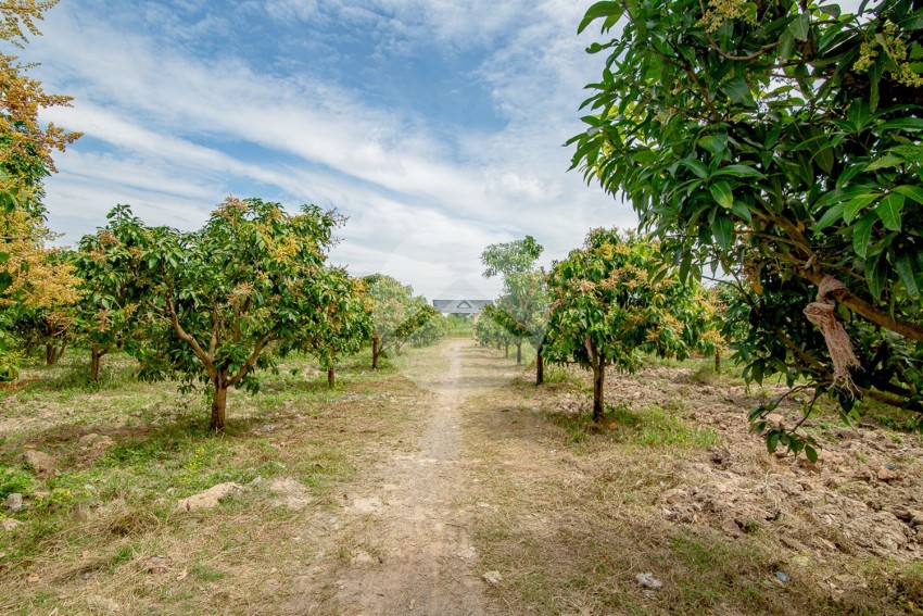 41 Ha Land For Sale - Traeng Trayueng, Kampong Speu