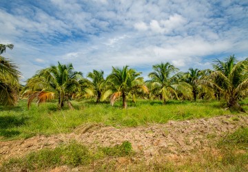 41 Ha Land For Sale - Traeng Trayueng, Kampong Speu thumbnail