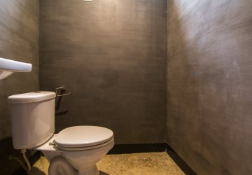 Renovated 2 Bedroom Apartment For Rent - Tonle Bassac, Phnom Penh thumbnail