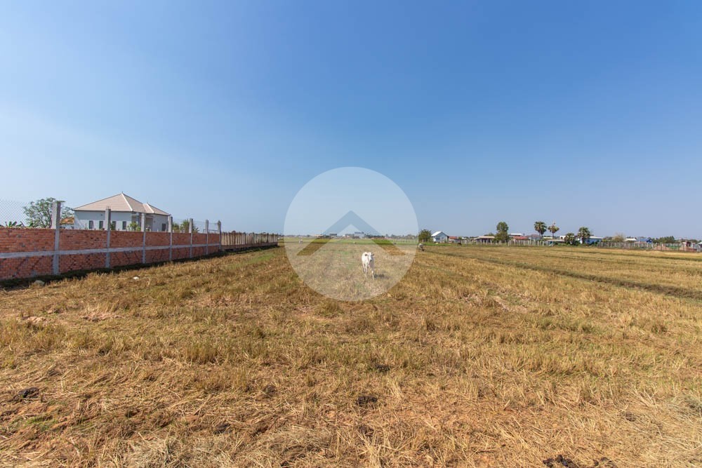 2614 Sqm Residential Land For Sale - Chreav, Siem Reap - Image 9