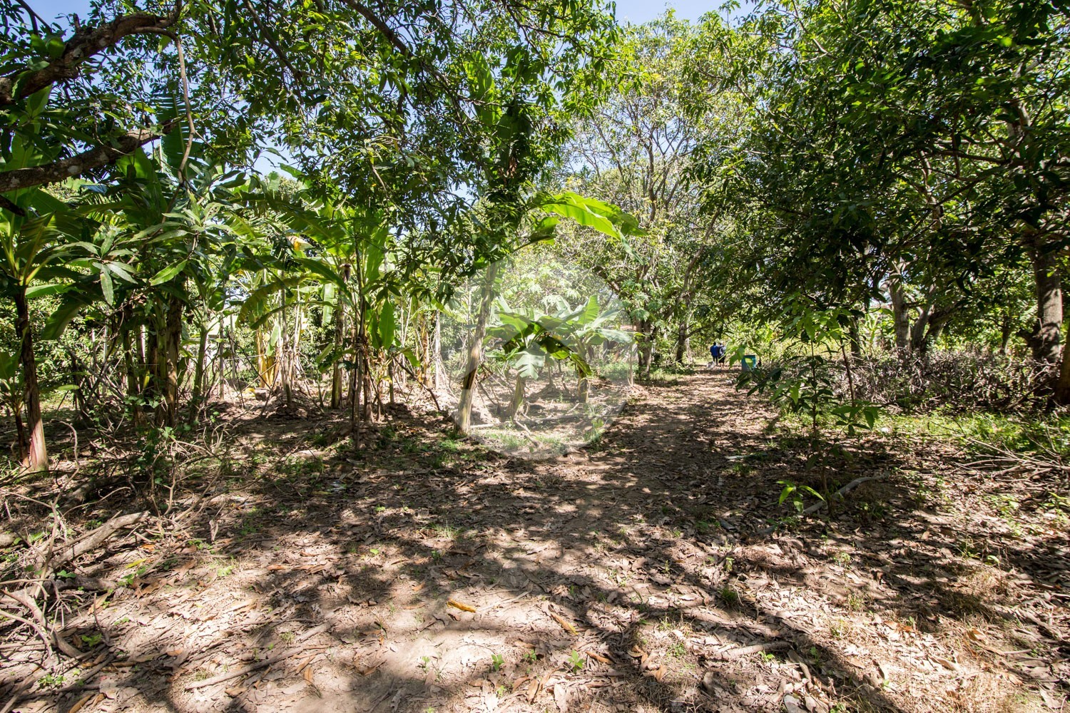 7,982 Sqm Land For Sale - Kien Svay, Kandal Province - Image 4