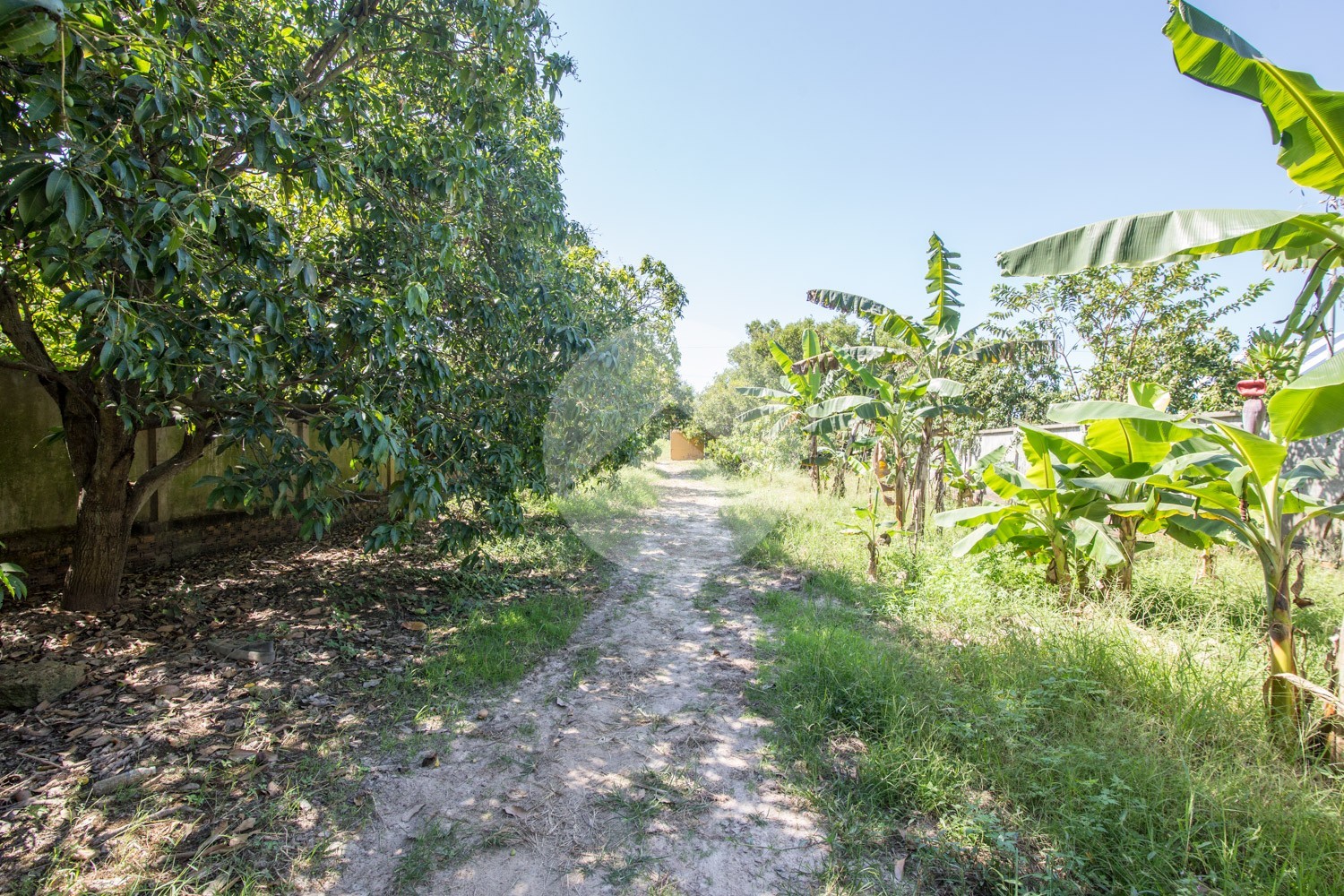7,982 Sqm Land For Sale - Kien Svay, Kandal Province - Image 13