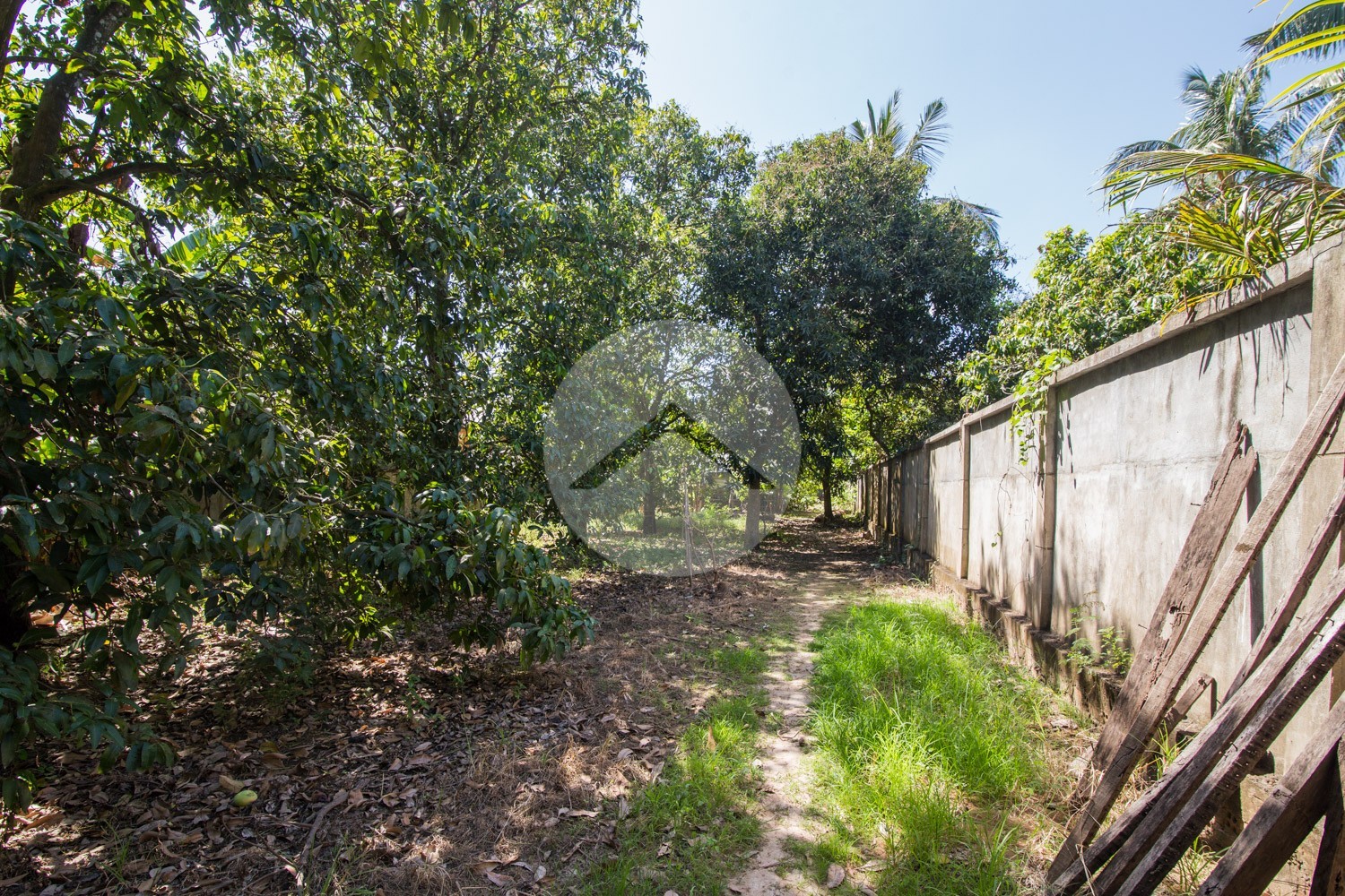 7,982 Sqm Land For Sale - Kien Svay, Kandal Province - Image 8
