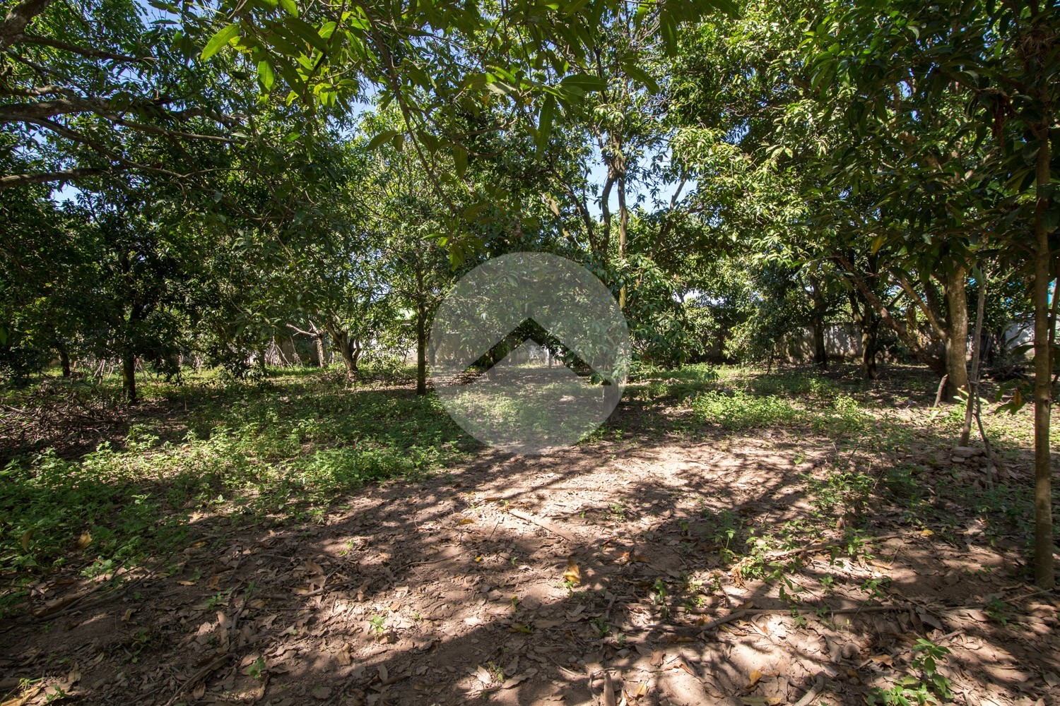 7,982 Sqm Land For Sale - Kien Svay, Kandal Province - Image 7