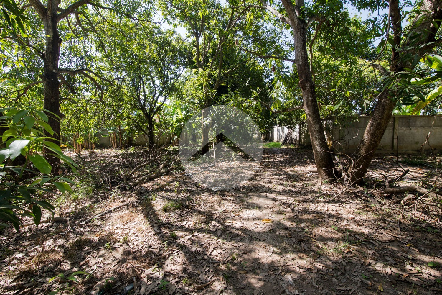 7,982 Sqm Land For Sale - Kien Svay, Kandal Province - Image 5