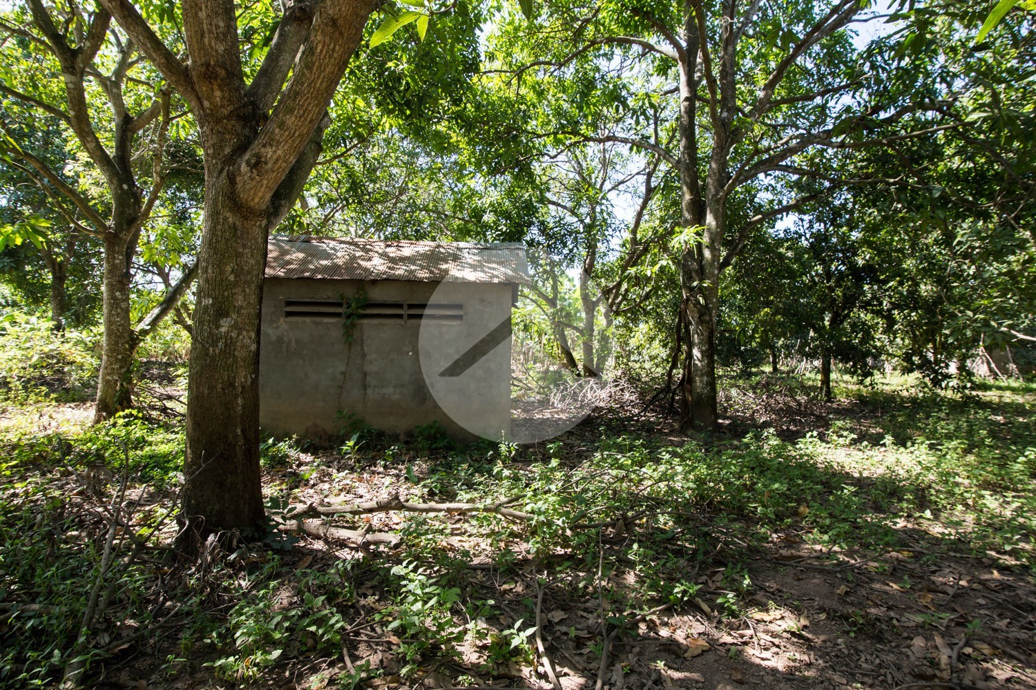 7,982 Sqm Land For Sale - Kien Svay, Kandal Province - Image 6
