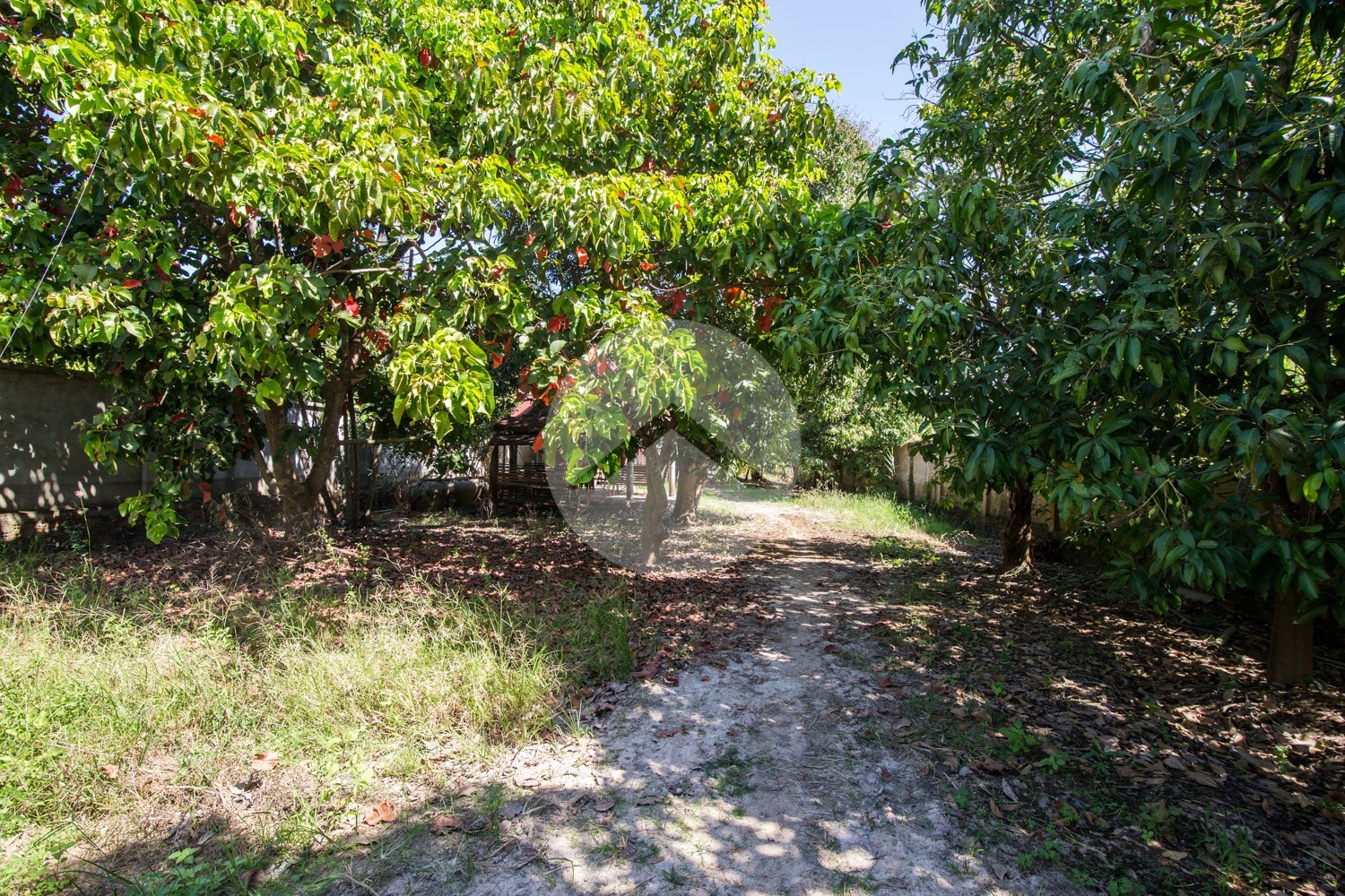 7,982 Sqm Land For Sale - Kien Svay, Kandal Province - Image 2