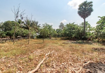 1160 Sqm Residential Land For Sale - Run Ta Aek, Siem Reap thumbnail