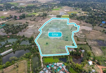 6 Hectare Land For Sale - Puok District, Siem Reap thumbnail