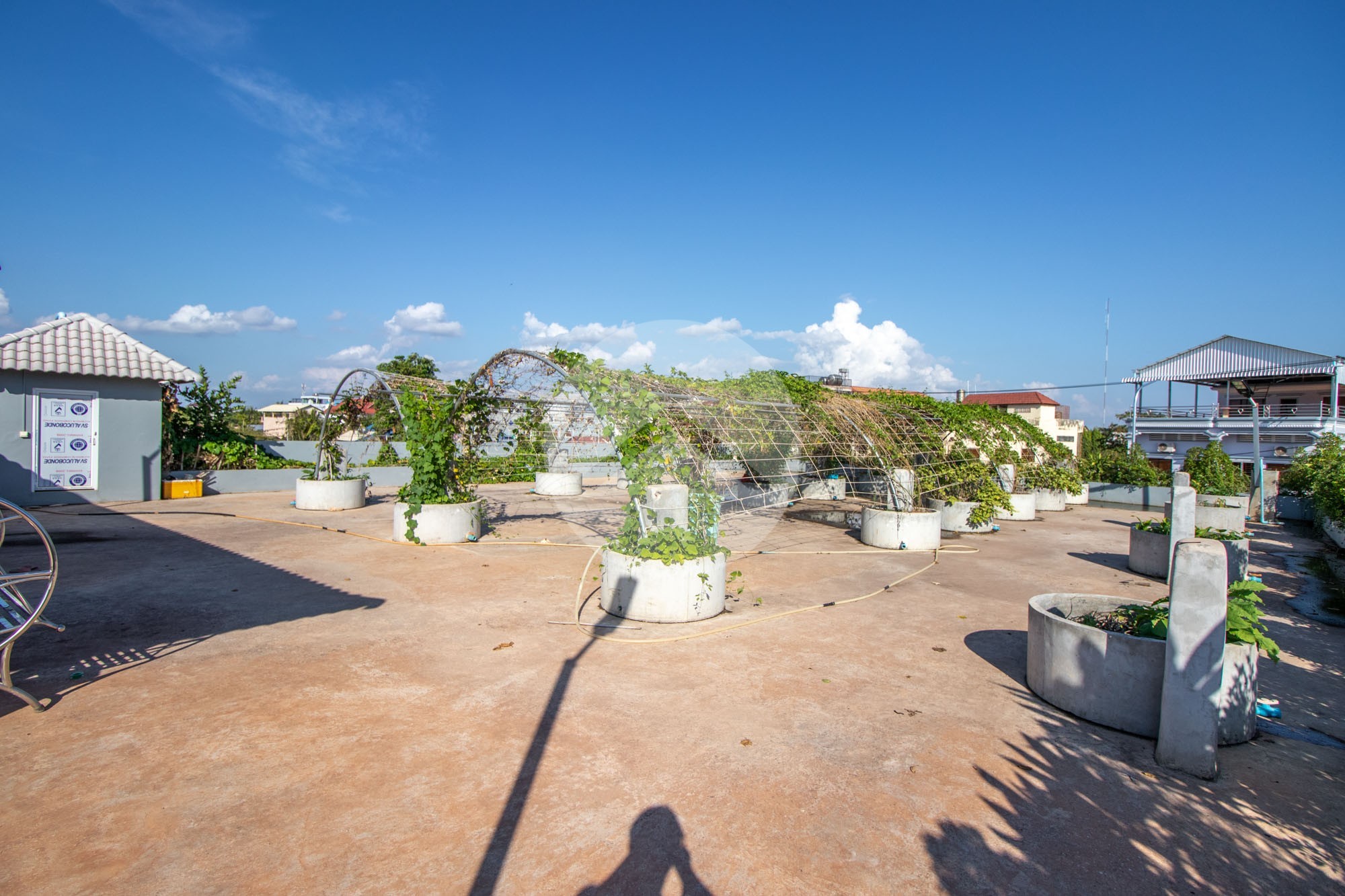 6 Bedroom Commercial Shophouse For Sale - Sala Kamreuk, Siem Reap - Image 7