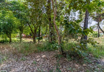 1976 Sqm Land For Sale - Svay Dangkum, Siem Reap thumbnail