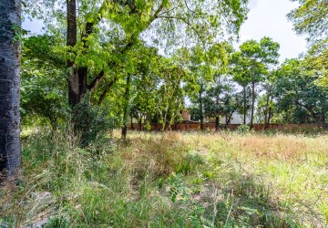 1976 Sqm Land For Sale - Svay Dangkum, Siem Reap thumbnail