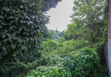 2566 Land For Sale - Mak Prang, Kampot- Cambodia thumbnail