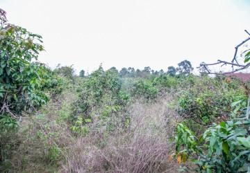 4,000 Sqm Land For Sale - Stoeung Keo, Kampot thumbnail