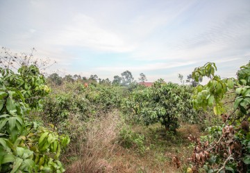 4,000 Sqm Land For Sale - Stoeung Keo, Kampot thumbnail