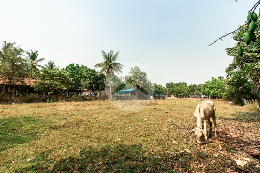 ដីទំហំ 1423 ម៉ែត្រការ៉េ សម្រាប់លក់- សង្កាត់ស្រង៉ែ, ក្រុងសៀមរាប