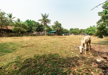 1423 Sqm Land For Sale - Sra Ngae, Siem Reap thumbnail