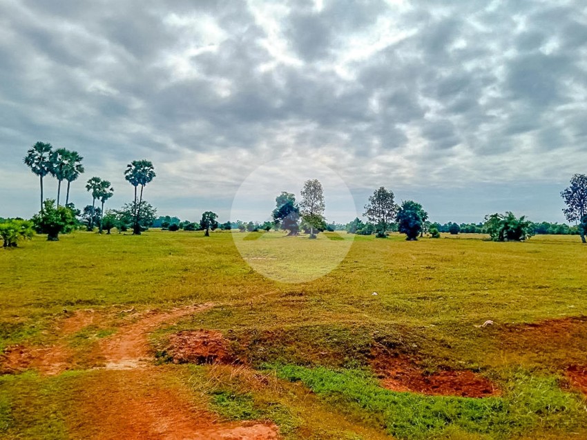 16071 Sqm Residential Land For Sale - Damdek, Siem Reap