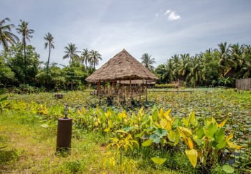 31 Bedroom Resort For Sale - Sala Kamreuk, Siem Reap thumbnail