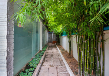 72 Sqm Commercial Space  For Rent - Svay Dangkum, Siem Reap thumbnail
