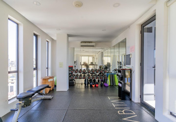 2nd Floor 2 Bedroom Condo For Sale - Habitat, Tonle Bassac, Phnom Penh thumbnail