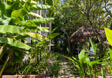 11 Bedroom Boutique Hotel For Sale - Svay Dangkum, Siem Reap thumbnail