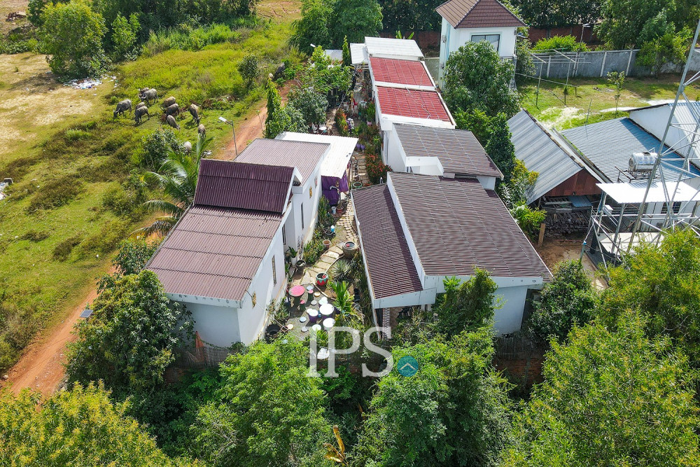 8 Bedroom Compound-House For Rent - Svay Dangkum, Siem Reap - Image 29