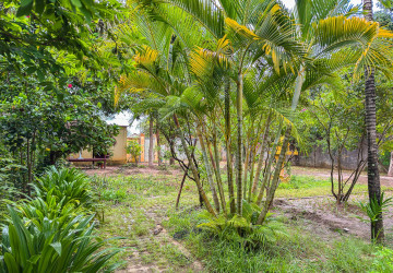 5 Bedroom Villa For Rent - Svay Dangkum, Siem Reap thumbnail