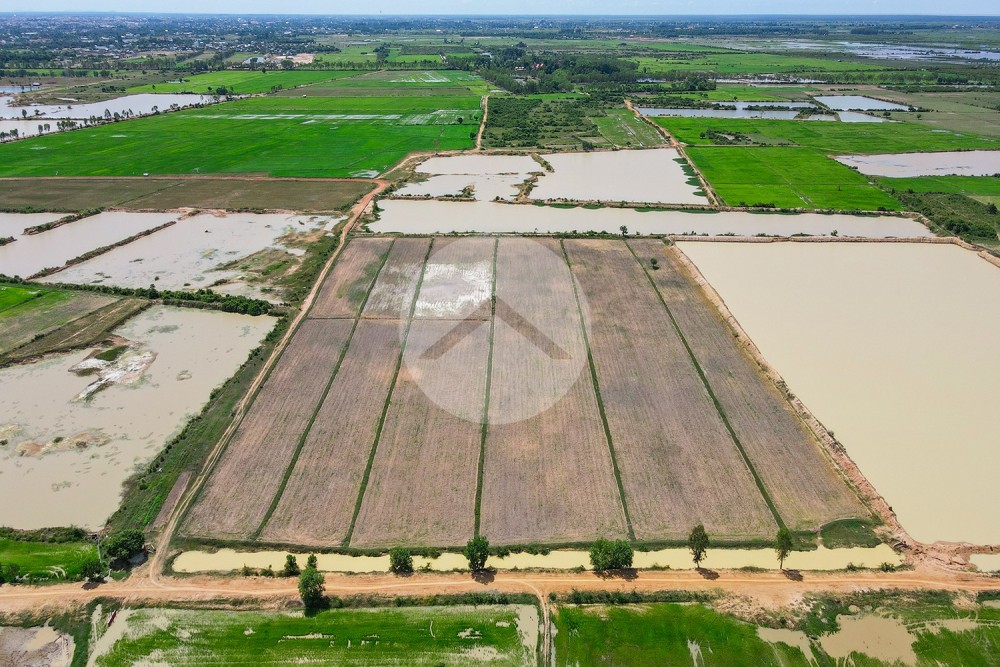 57,441 Sqm Land For Sale - Sra Ngae, Siem Reap - Image 9
