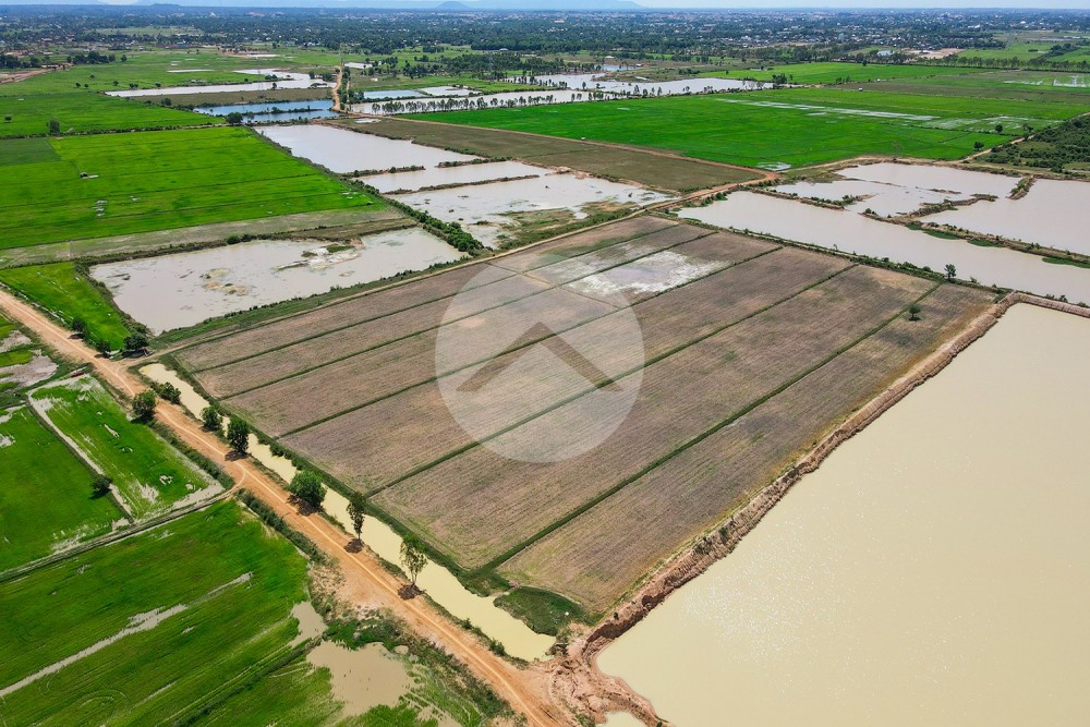 57,441 Sqm Land For Sale - Sra Ngae, Siem Reap - Image 10