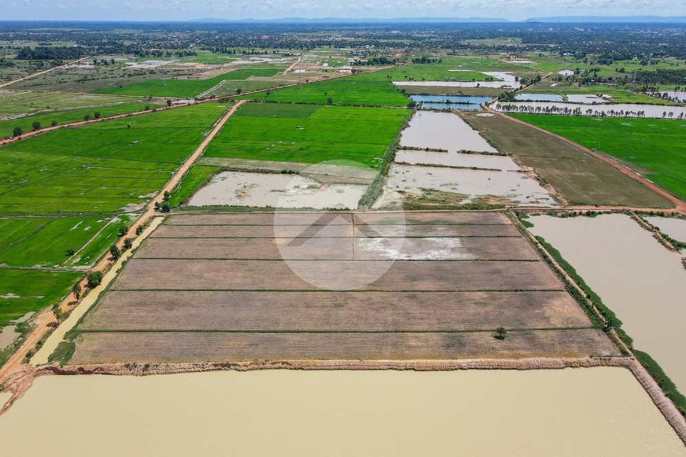 57,441 Sqm Land For Sale - Sra Ngae, Siem Reap - Image 12