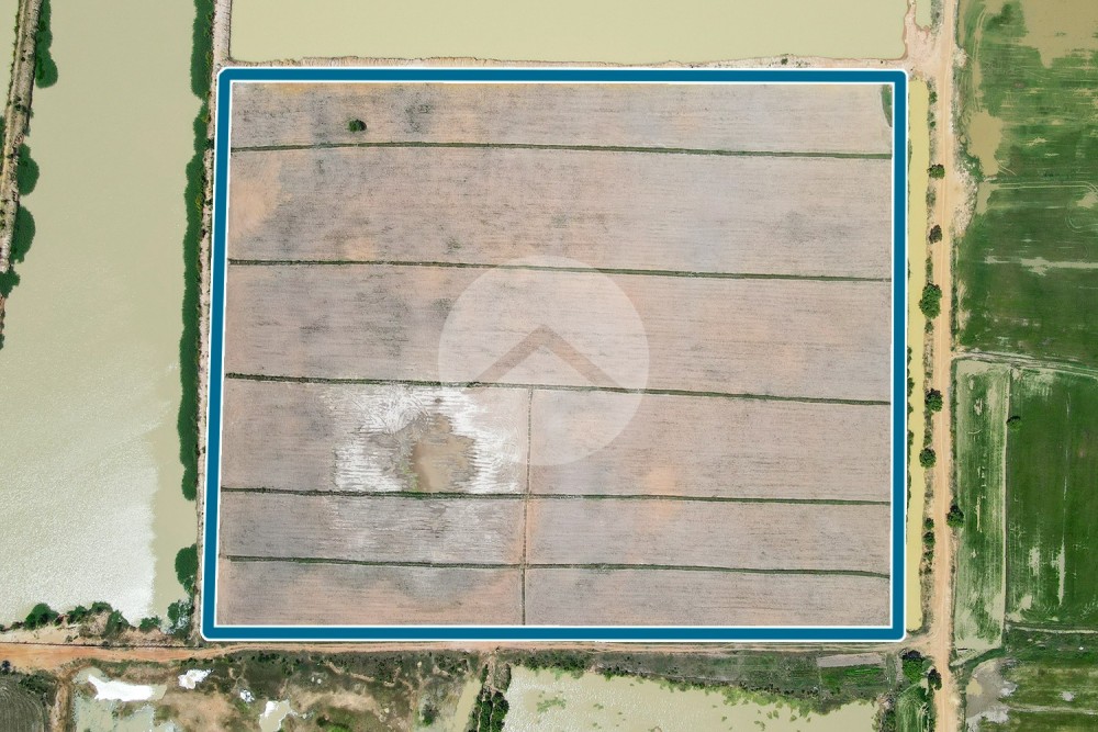 57,441 Sqm Land For Sale - Sra Ngae, Siem Reap - Image 3