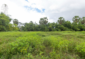 6,381 Sqm Land  For Sale - Sangkat Siem Reap, Siem Reap thumbnail