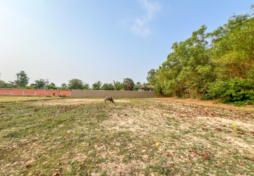 1,456 Sqm Land For Sale - Svay Dangkum, Siem Reap thumbnail